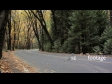 Car Yosemite National Park, California 2 2554